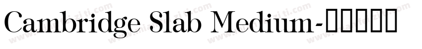Cambridge Slab Medium字体转换